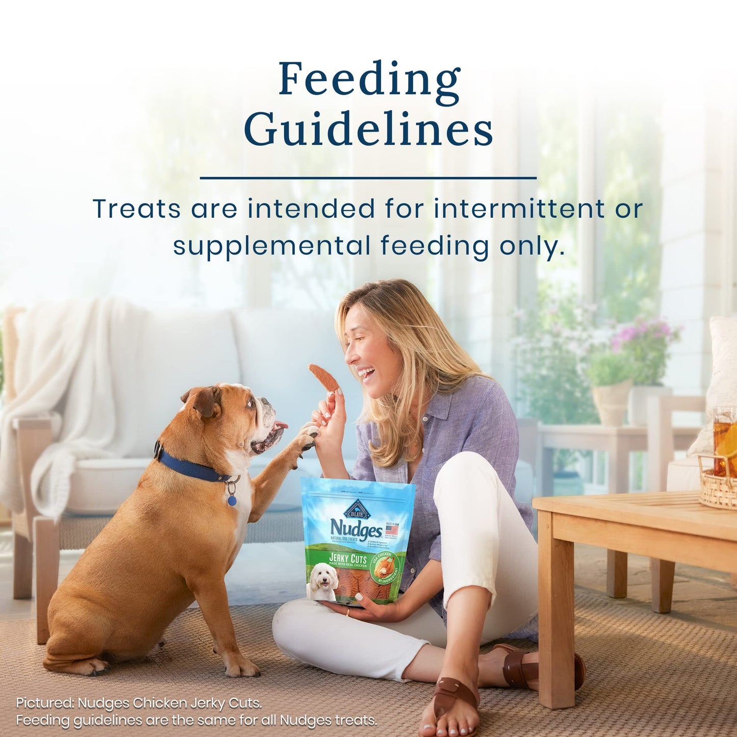 Blue Buffalo Nudges Jerky Cuts Natural Dog Treats
