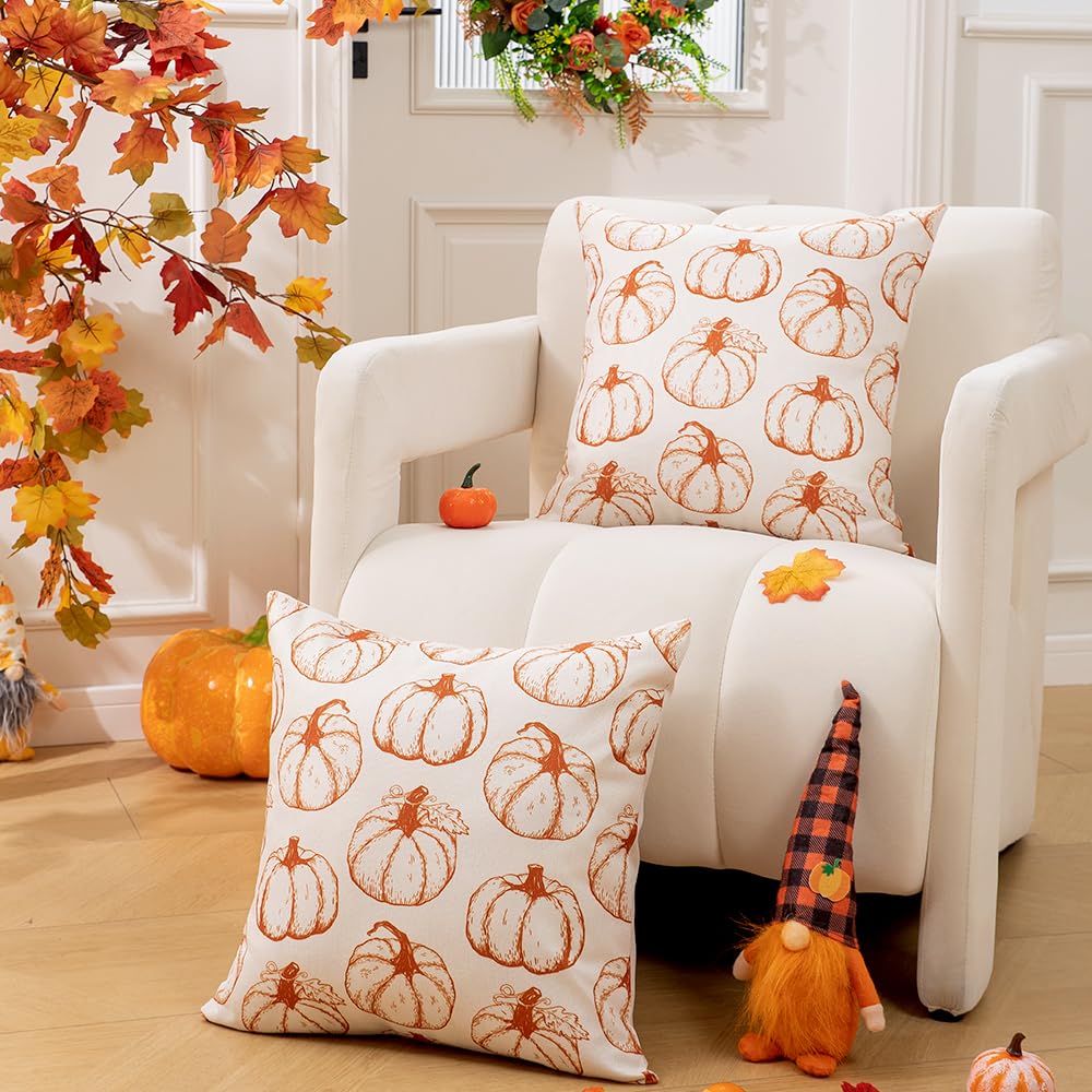 DFXSZ Fall Pillow Covers 18x18 inch Set of 2 Fall Decoration Pumpkin Decor Autumn Outdoor Pillow Cover Thanksgiving Decoration for Home Couch 117B