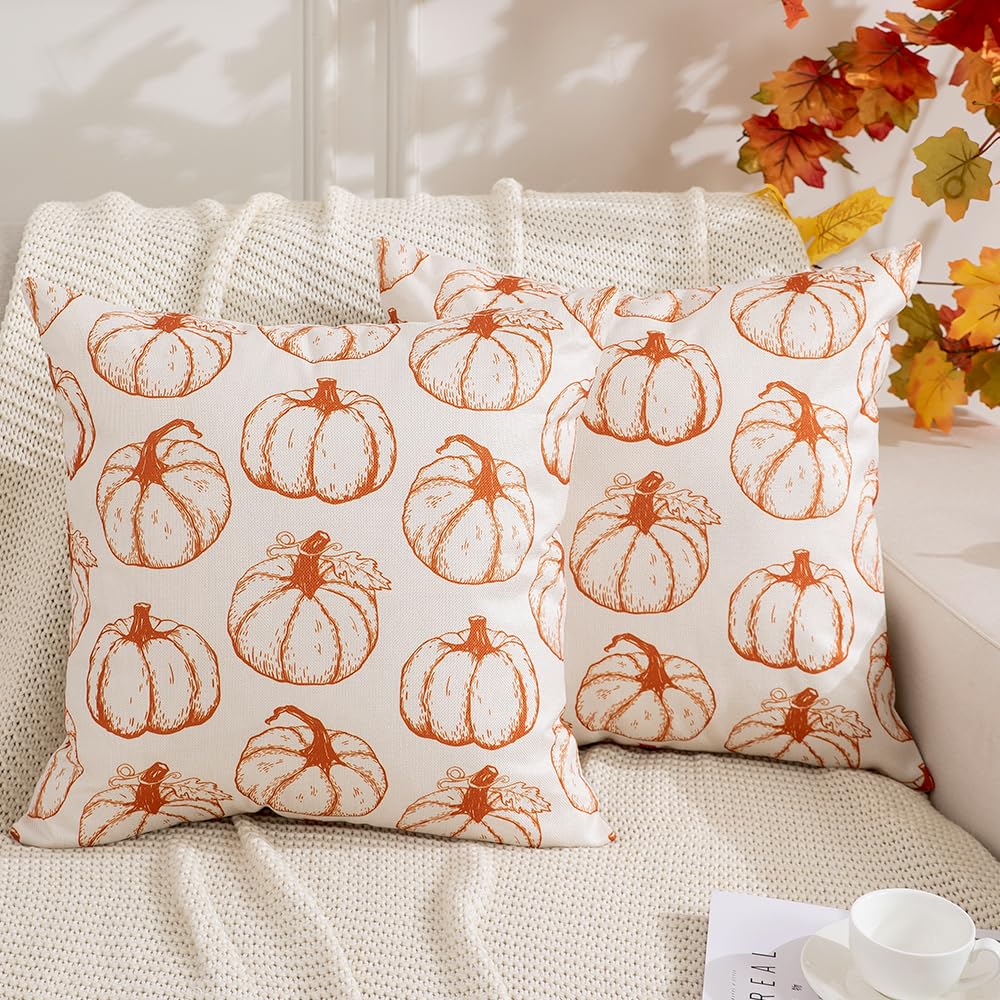 DFXSZ Fall Pillow Covers 18x18 inch Set of 2 Fall Decoration Pumpkin Decor Autumn Outdoor Pillow Cover Thanksgiving Decoration for Home Couch 117B