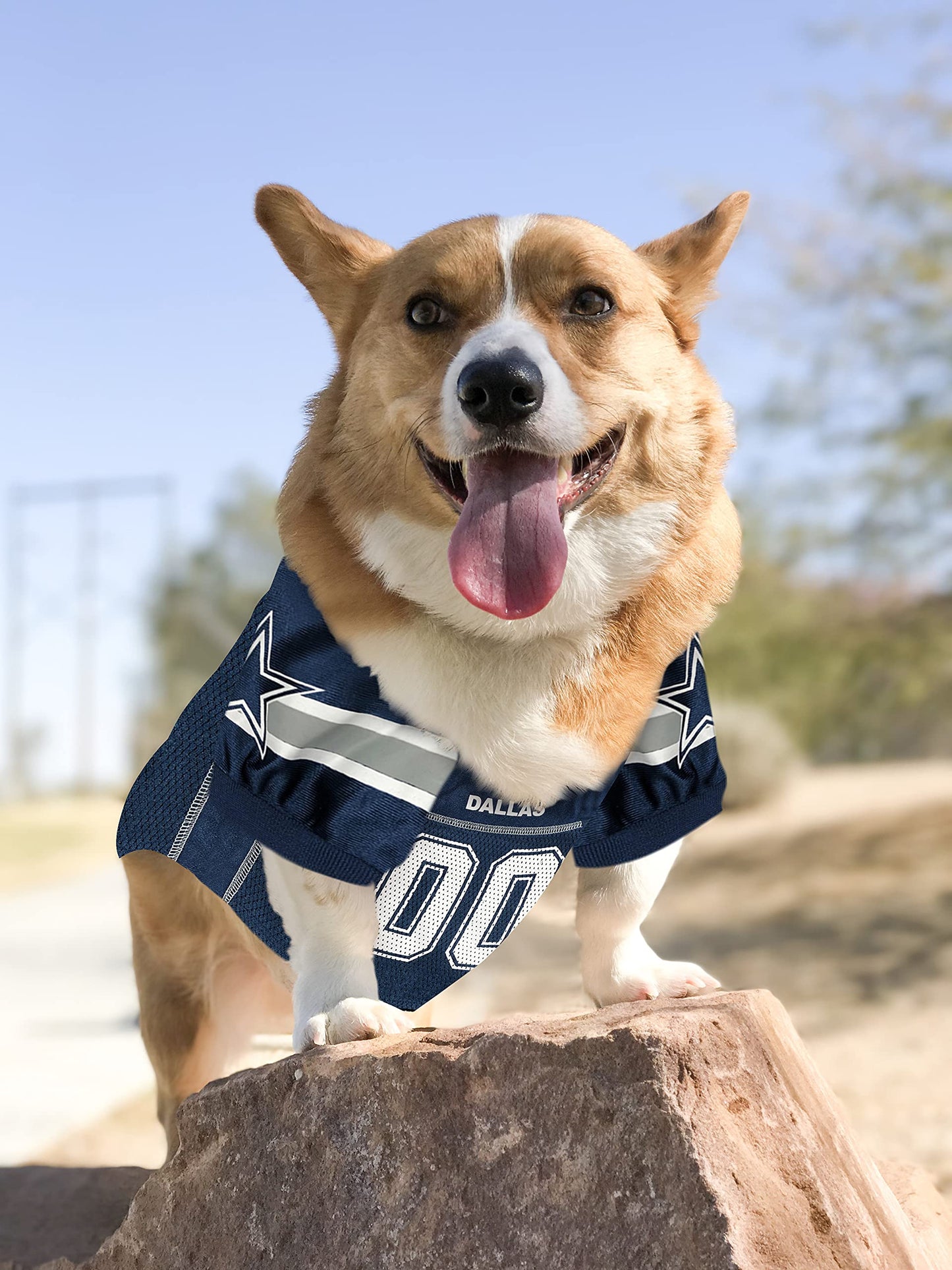 NFL Dallas Cowboys Dog Jersey, Size: Small. Best Football Jersey Costume for Dogs & Cats. Licensed Jersey Shirt