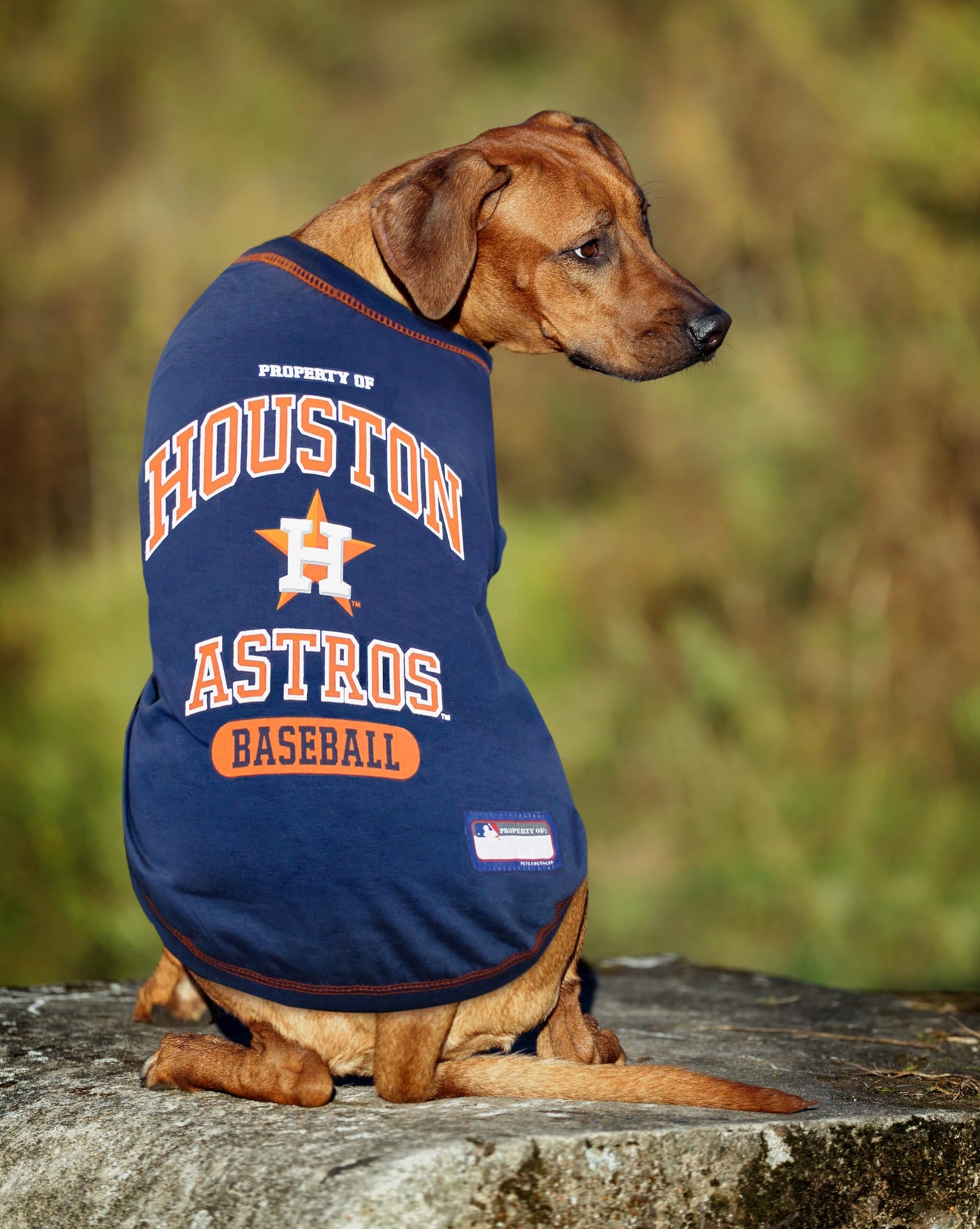 MLB Houston Astros Dog T-Shirt, Small. - Licensed Shirt for Pets Team Colored with Team Logos. - Premium Stretchable Materials for The Comfort of Your Dog & cat.