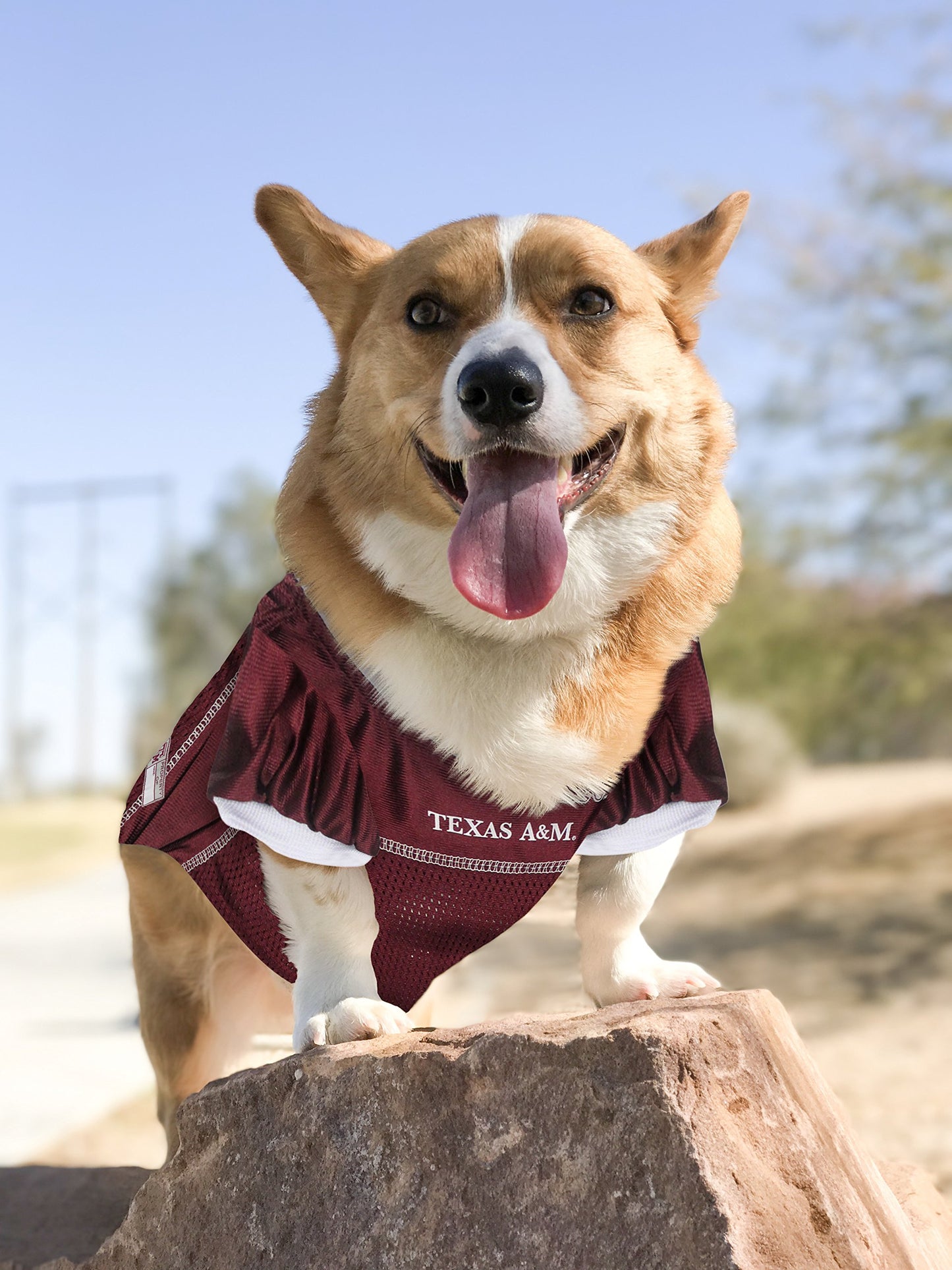 Pets First NCAA College TEXAS A&M Aggies Mesh Jersey for DOGS & CATS, Size Medium, Licensed Dog Jersey with your Favorite Football/Basketball College Team