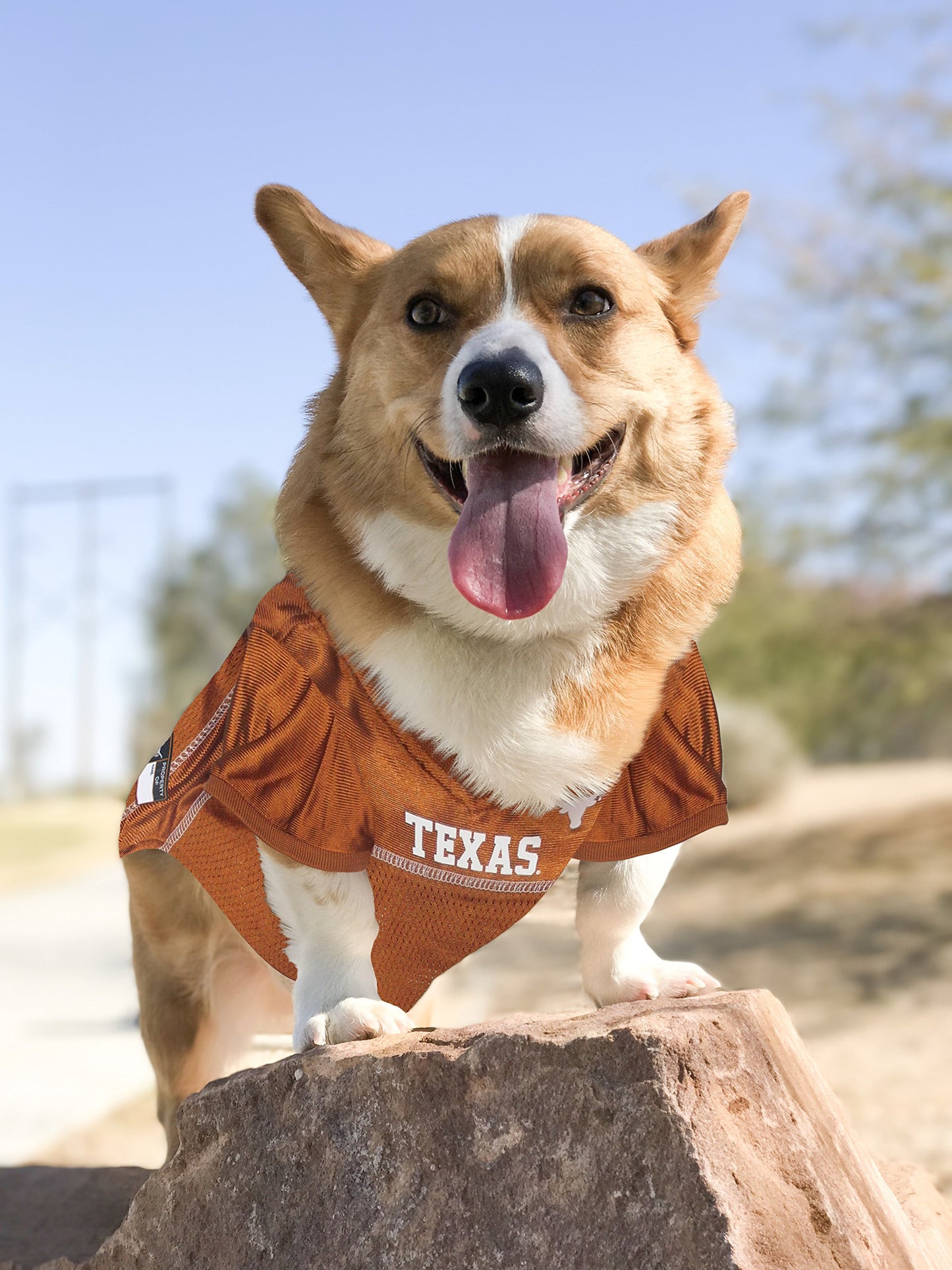 Pets First NCAA College Texas Longhorns Mesh Jersey for DOGS & CATS, Size Medium, Licensed Dog Jersey with your Favorite Football/Basketball College Team